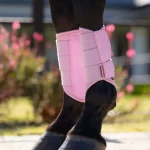 Lemieux Arika Protectores