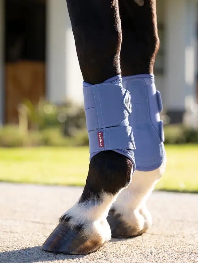 Lemieux Arika Mesh Protectores - Imagen 4